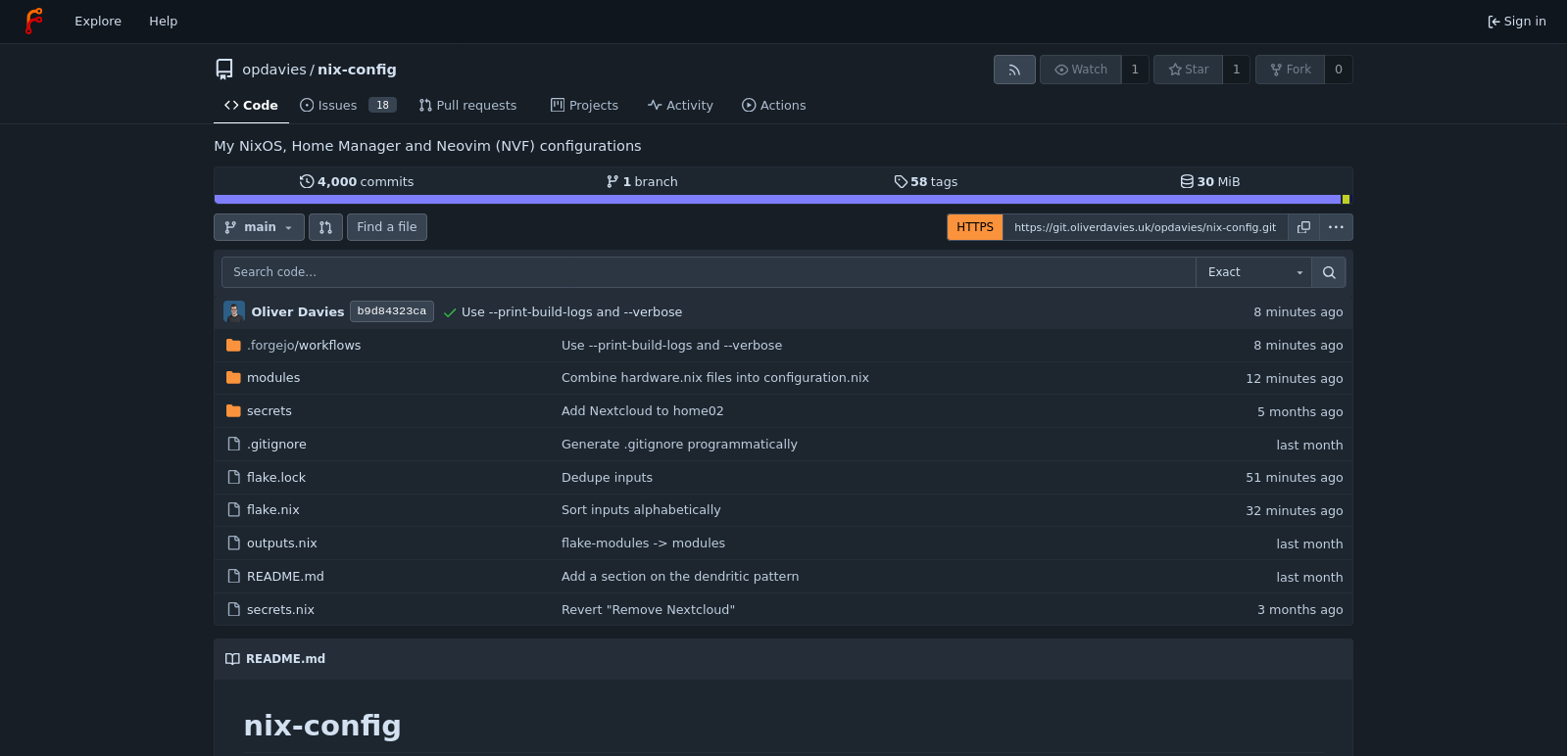 A screenshot of my nix-config repository.